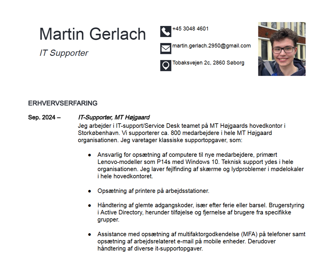 Forhåndsvisning af CV