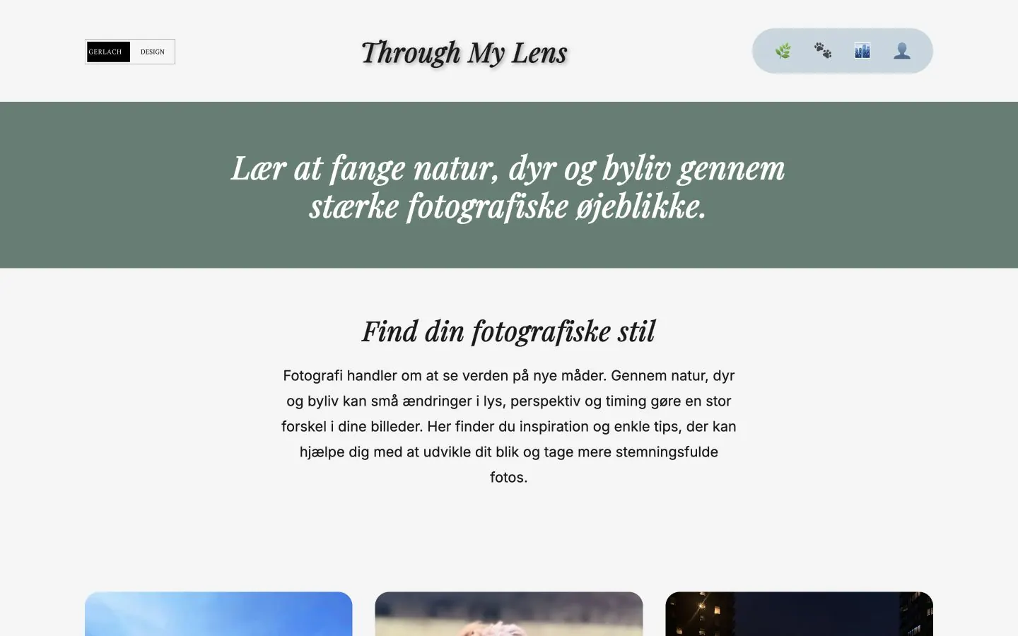 Photography gallery from the Through My Lens website